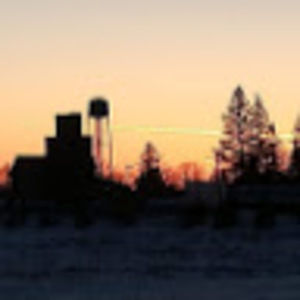 Meet your Posher, Lily